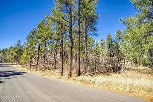 1036 W Apache Ln, Lakeside, AZ 85929 - Photo 1