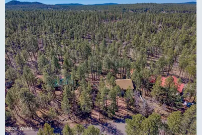 71 E Turkey Track Lane, Pinetop, AZ 85935 - Photo 39