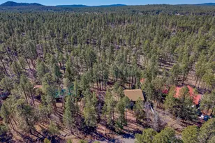 71 E Turkey Track Ln, Pinetop, AZ 85935 - Photo 39