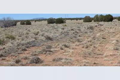 5999 Mesa View Lot 149 Drive, Heber, AZ 85928 - Photo 5