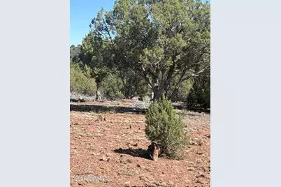 88 North 8714, Concho, AZ 85924 - Photo 11