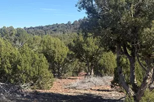 88 North 8714, Concho, AZ 85924 - Photo 1