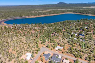 5534 Gray wolf Dr, Lakeside, AZ 85929 - Photo 5