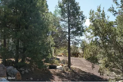 1988 Bradley Lane, Overgaard, AZ 85933 - Photo 65