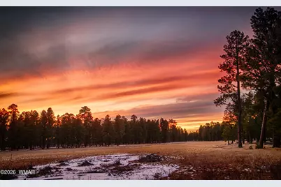 507 N Skylane Road, Pinetop, AZ 85935 - Photo 45