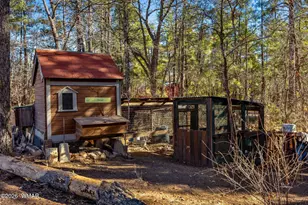 4584 Cub Lake Rd, Show Low, AZ 85901 - Photo 31