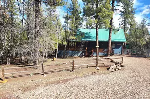 718 S Eagle Loop, Lakeside, AZ 85929 - Photo 1