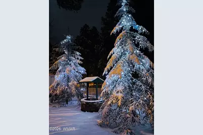 5963 Anvil Circle, Pinetop, AZ 85935 - Photo 41