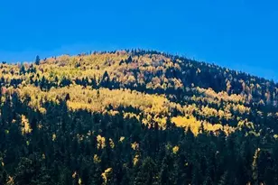 5963 Anvil Cir, Pinetop, AZ 85935 - Photo 45