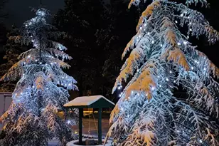 5963 Anvil Cir, Pinetop, AZ 85935 - Photo 31