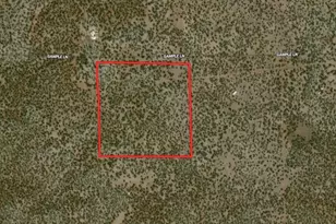 0 Gample Ln, Show Low, AZ 85901 - Photo 1