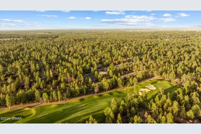 3111 W Lodgepole Lane, Show Low, AZ 85901 - Photo 71
