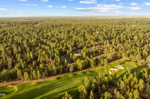 3111 W Lodgepole Ln, Show Low, AZ 85901 - Photo 71