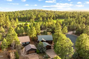 3111 W Lodgepole Ln, Show Low, AZ 85901 - Photo 73