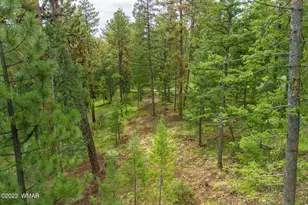 29 N1068, Greer, AZ 85927 - Photo 1