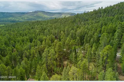 29 N1068, Greer, AZ 85927 - Photo 7