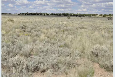 76 Acres Cr 6451, Saint Johns, AZ 85936 - Photo 7