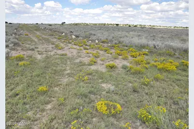 76 Acres Cr 6451, Saint Johns, AZ 85936 - Photo 5
