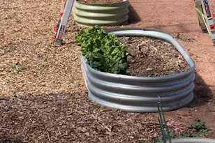 7832 Jacamar Ln, Woodruff, AZ 85942 - Photo 35