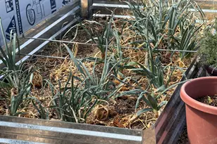 7832 Jacamar Ln, Woodruff, AZ 85942 - Photo 37