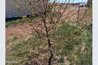 7832 Jacamar Lane, Woodruff, AZ 85942 - Photo 53