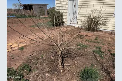 7832 Jacamar Lane, Woodruff, AZ 85942 - Photo 59