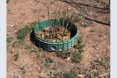 7832 Jacamar Lane, Woodruff, AZ 85942 - Photo 69