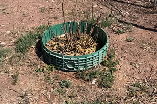 7832 Jacamar Ln, Woodruff, AZ 85942 - Photo 69