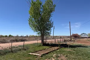 7832 Jacamar Ln, Woodruff, AZ 85942 - Photo 11