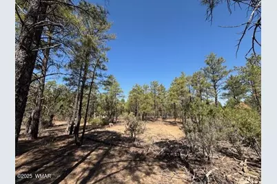 181 S Cliffrose Lane, Show Low, AZ 85901 - Photo 13