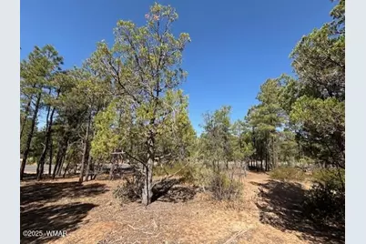 181 S Cliffrose Lane, Show Low, AZ 85901 - Photo 15