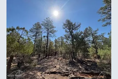 181 S Cliffrose Lane, Show Low, AZ 85901 - Photo 7