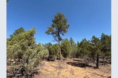 181 S Cliffrose Lane, Show Low, AZ 85901 - Photo 9