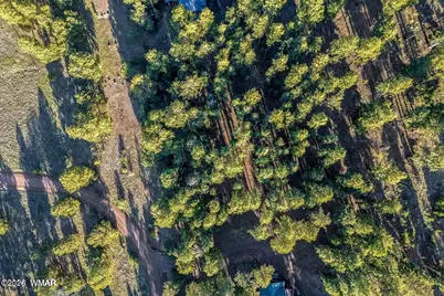 10 N 1337, Greer, AZ 85927 - Photo 9