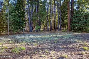10 N 1337, Greer, AZ 85927 - Photo 1