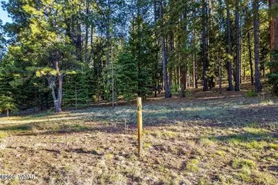 10 N 1337, Greer, AZ 85927 - Photo 3