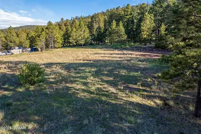 34 N 1330, Greer, AZ 85927 - Photo 15
