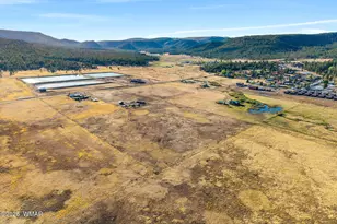 216 Cr 2311, Alpine, AZ 85920 - Photo 45