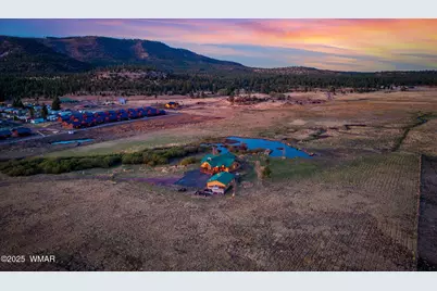 216 Cr 2311, Alpine, AZ 85920 - Photo 51