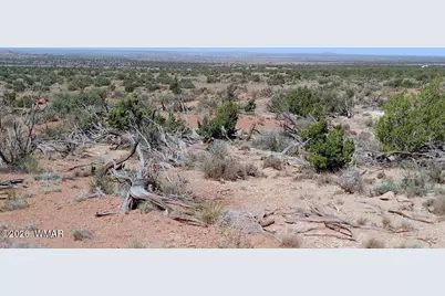 Tbd Alamo Ln, Snowflake, AZ 85937 - Photo 15