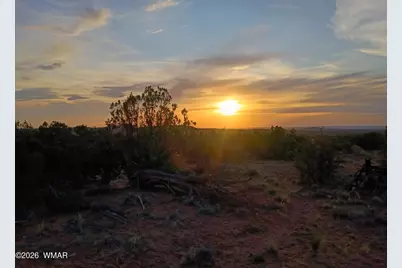 Tbd Alamo Ln, Snowflake, AZ 85937 - Photo 5