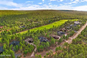 4251 W Acer Ln, Show Low, AZ 85901 - Photo 65