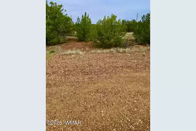 8458 Soto Place, Show Low, AZ 85901 - Photo 3