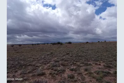 Tbd Acr 9140, Concho, AZ 85924 - Photo 3