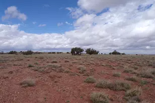 Tbd Acr 9140, Concho, AZ 85924 - Photo 1