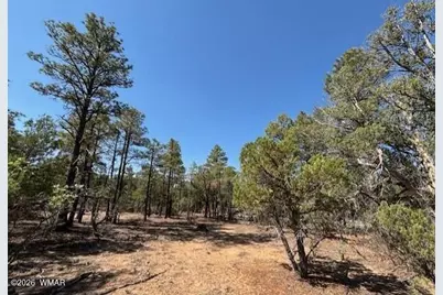 181 S Cliffrose Lane, Show Low, AZ 85901 - Photo 5