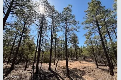 181 S Cliffrose Lane, Show Low, AZ 85901 - Photo 3