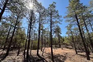 181 S Cliffrose Ln, Show Low, AZ 85901 - Photo 3