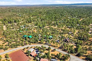 3121 Cedar Dr, Overgaard, AZ 85933 - Photo 43