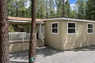 3880 S Mule Skinner Loop, Show Low, AZ 85901 - Photo 23